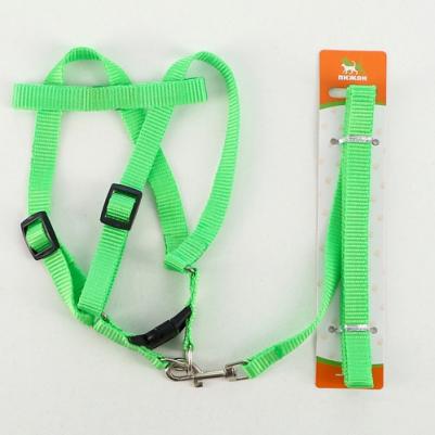 Комплект "Базис", поводок 120 х 1,5 см, шлейка 32-46 х 1,5 см, зеленый – фото 3