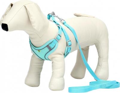 Комплект с мягкой шлейкой, быстросъемный, S, поводок 140 см, ОШ 39-41 ОГ 44-48 см, бирюзовый 96837 6900096837860 – фото 1