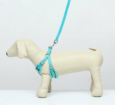 Комплект с мягкой шлейкой, быстросъемный, S, поводок 140 см, ОШ 39-41 ОГ 44-48 см, бирюзовый 96837 6900096837860 – фото 2