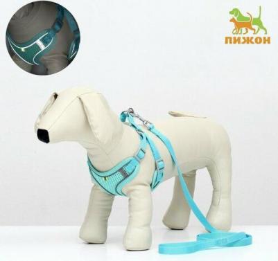 Комплект с мягкой шлейкой, быстросъемный, S, поводок 140 см, ОШ 39-41 ОГ 44-48 см, бирюзовый 96837 6900096837860