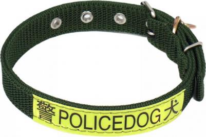 Ошейник двухслойный с вертлюгом, 3 см, зелёный – фото 1