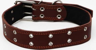 Ошейник кожаный на синтепоне, безразмерный, 83 х 4.5 см, коричневый