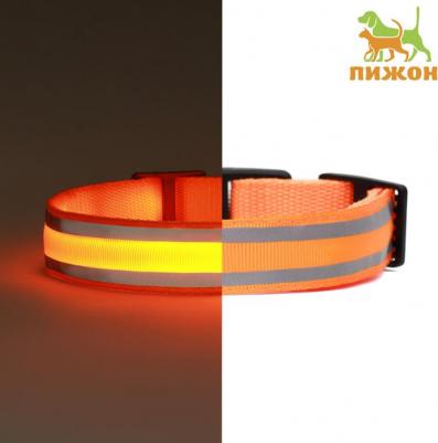 Ошейник с подсветкой Двойная полоса размер S, ОШ 35-43 х 2,5 см, 3 режима свечения оранжевый 977224 – фото 1