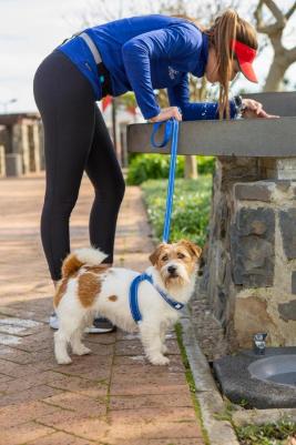 поводок для очень крупных собак размер XL серии Utility длина 1,2 м, синий – фото 1