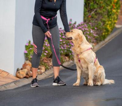 поводок Handsfree Utility (M) / черный ) HLF11-A (XL) – фото 1