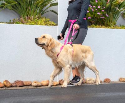 поводок Handsfree Utility (M) / черный ) HLF11-A (XL) – фото 6