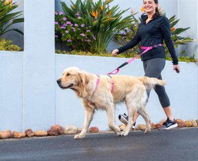 Поводок Utility HLF05-B, синий, XL, 25 мм, 210 см – фото 7