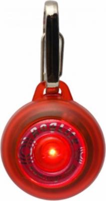 Светящаяся подвеска на ошейник для собак RogLite Красная - 31 мм