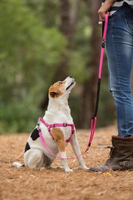 Универсальный поводок для собак, нейлон, неопрен, полиэстер, розовый, длина 0.8 м – фото 5