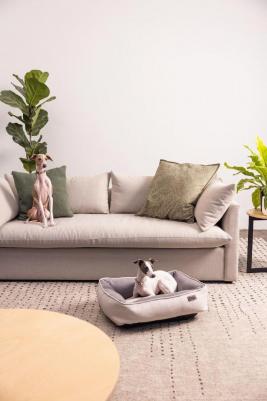 Urban Halsband XS Gold Rush ошейник для собак мелких пород, размер XS, обхват шеи 16-22 см, цвет золотистый – фото 8