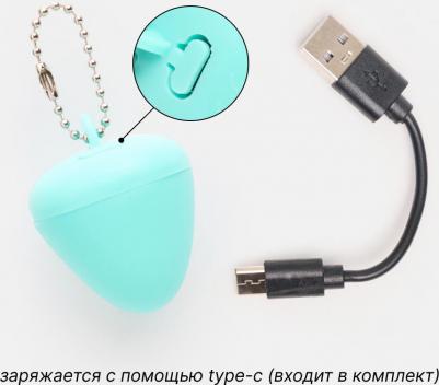 Маячок светящийся на ошейник бирюзовый силикон – фото 4