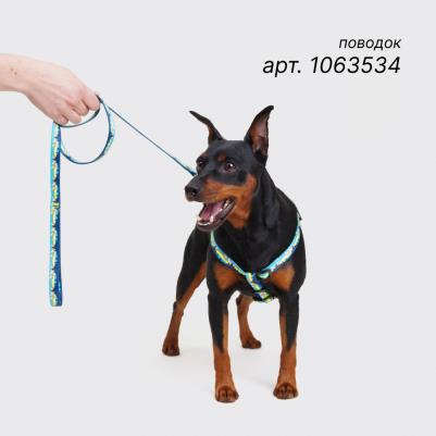 Ошейник 10мм/22-35см горный голубой – фото 3