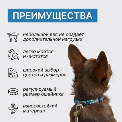 Ошейник 15мм/30-45см цветочный синий – фото 1