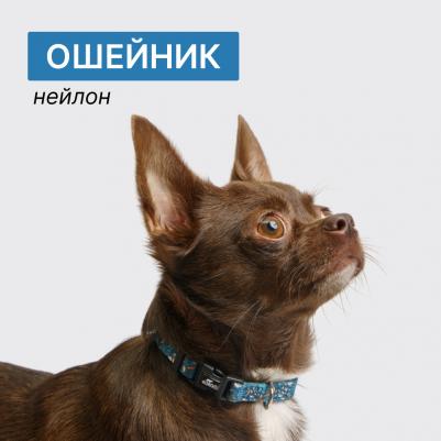 Ошейник 15мм/30-45см цветочный синий – фото 2