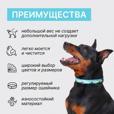 Ошейник 15мм/30-45см горный голубой – фото 4