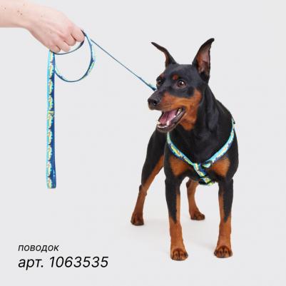 Ошейник 15мм/30-45см горный голубой – фото 7