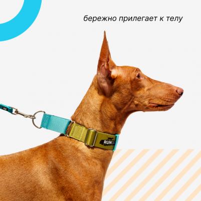 Ошейник для собак Мартингейл Wide, объем шеи 32-43 см, ширина ремешка 3,8 см, голубой-зеленый – фото 4