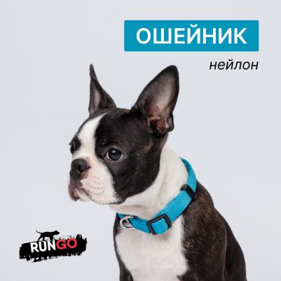 Ошейник для собак нейлоновый, обхват шеи 35-53 см, ширина 2 см, голубой – фото 4