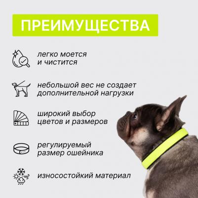 Ошейник для собак, обхват шеи 45 см, ширина 2 см, желтый – фото 5
