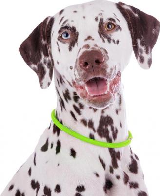 Ошейник для собак средних пород светящийся круглый зеленый 45 см – фото 2