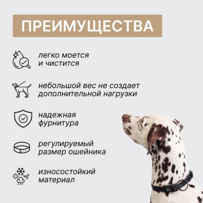 Ошейник Downtown M-L: 35–55cm/20mm черный с бежевым – фото 3