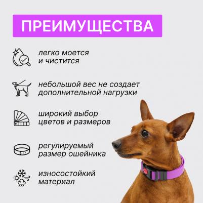 Ошейник из биотана с фастексом, 20мм, обхват шеи 30-42см, матовый, фиолетовый – фото 2