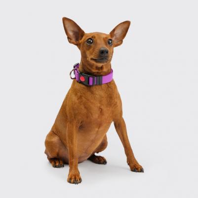 Ошейник из биотана с фастексом, 20мм, обхват шеи 30-42см, матовый, фиолетовый – фото 4