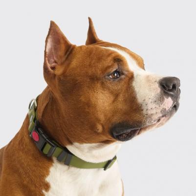 Ошейник из биотана с фастексом, 25мм, обхват шеи 37-55см, матовый, оливковый – фото 2