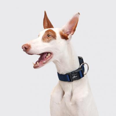 Ошейник Soft 38мм(40мм)/32-45см неопрен синий – фото 3