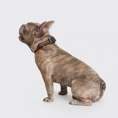 Ошейник светоотражающий для собак Urban Daily, L-XL, обхват шеи 40-65 см, ширина 2,5 см, черно-оранжевый – фото 2