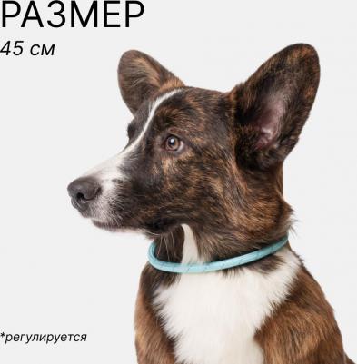 Ошейник светящийся круглый 45см голубой нейлон USB – фото 1