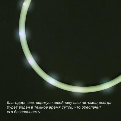 Ошейник светящийся круглый 70 см белый силикон USB – фото 2
