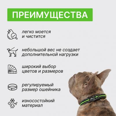 Ошейник Urban Daily M–L: 35–55 cm/20mm черный с зеленым – фото 2