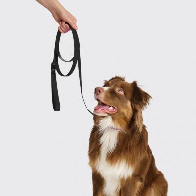 Поводок из биотана для собак, 20 мм, длина 2 м, черный – фото 2