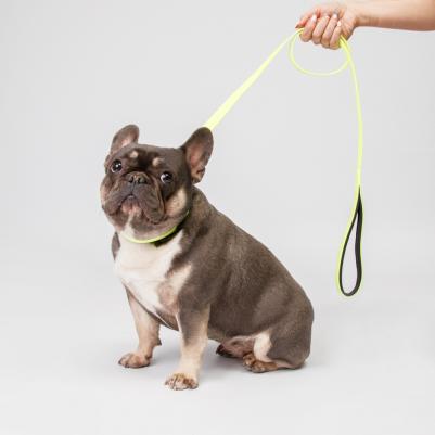 Поводок из биотана с неопреном для собак, 2х120 см, желтый – фото 1