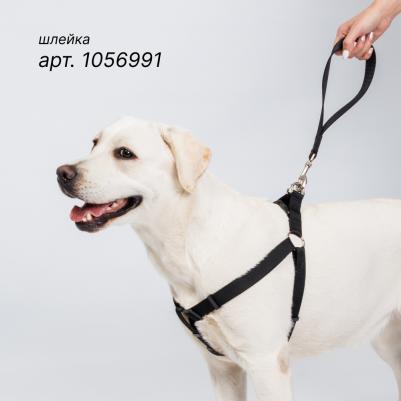 Поводок-водилка для собак, 25 мм, 35 см, черный – фото 5