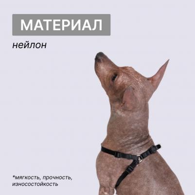 Шлейка для собак нейлоновая Step-in, объем груди 35-53 см, ширина 10 мм – фото 3