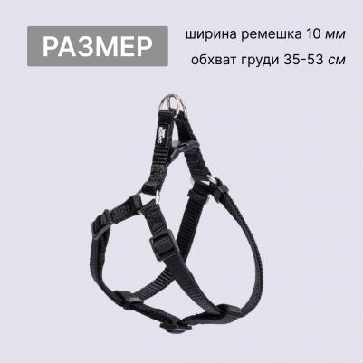 Шлейка для собак нейлоновая Step-in, объем груди 35-53 см, ширина 10 мм – фото 4