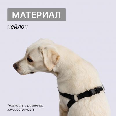 Шлейка для собак нейлоновая Step-in, объем груди 63-94 см, ширина 25 мм, черная – фото 1