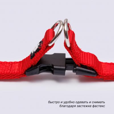 Шлейка для собак нейлоновая Step-in, обхват груди 28-38 см, ширина 10 мм, красная – фото 1