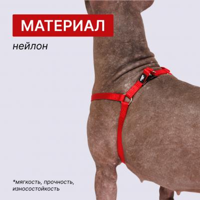 Шлейка для собак нейлоновая Step-in, обхват груди 28-38 см, ширина 10 мм, красная – фото 3