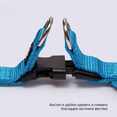 Шлейка для собак нейлоновая Step-in, обхват груди 35-53 см, ширина 10 мм, голубая – фото 1