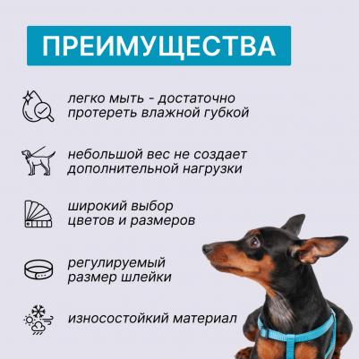 Шлейка для собак нейлоновая Step-in, обхват груди 35-53 см, ширина 10 мм, голубая – фото 4