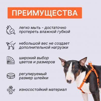 Шлейка для собак нейлоновая Step-in, обхват груди 45-63 см, ширина 15 мм, оранжевая – фото 2