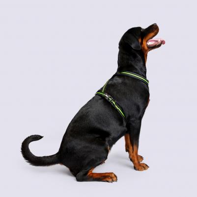 Шлейка для собак со светоотражающей полоской X-shape, L, обхват груди 60-90 см, ширина ремешка 2,3 см, черно-зеленый – фото 2