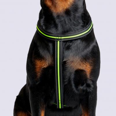 Шлейка для собак со светоотражающей полоской X-shape, L, обхват груди 60-90 см, ширина ремешка 2,3 см, черно-зеленый – фото 7