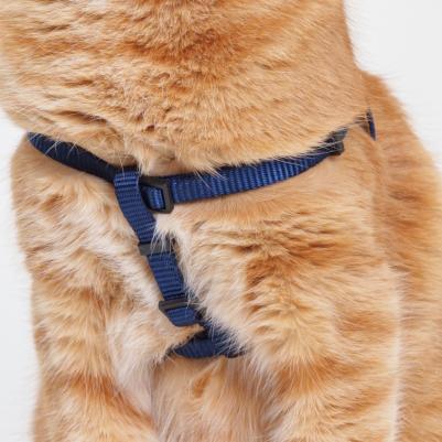 Шлейка нейлоновая для кошек и собак Step-in, объем груди 33-46,5 см, ширина ремешка 1 см, синий – фото 1