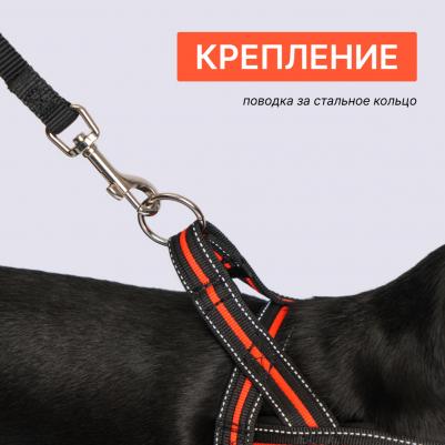 Шлейка со светоотр. Norway 30–50 cm/35mm черная с оранжевым – фото 5