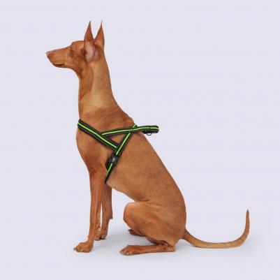 Шлейка со светоотр. Norway 68–88 cm/35mm черная с зеленым – фото 1