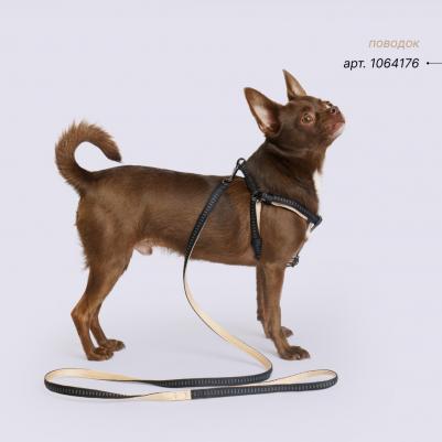 Шлейка Step-in Downtown XS–S: 10mmx30-40cm черный с бежевым – фото 1